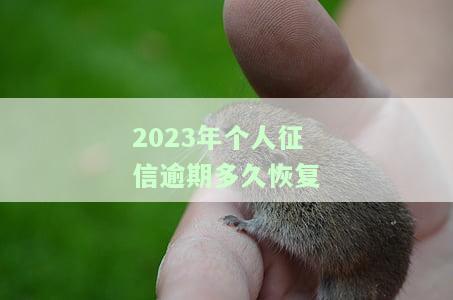 2021年征信逾期怎么处理最好最快？