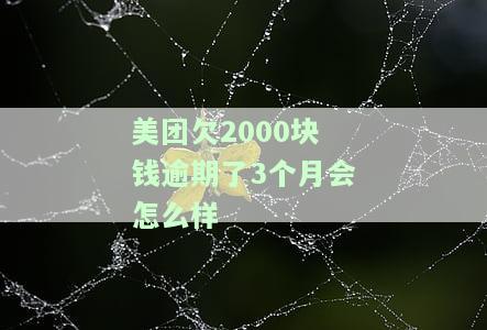 美团欠多少才会走访，逾期外访人员真的会来吗？