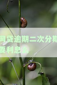 网贷逾期2次对房贷和车贷的影响及解释