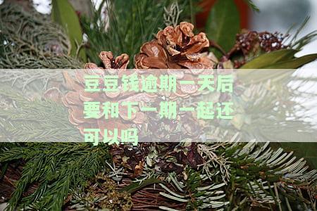 豆豆钱逾期2天6000多变成12000多了，如何处理逾期3天无法还款情况？