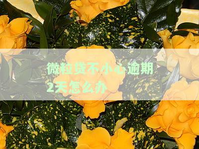 微粒贷逾期两天对后续借款有影响吗？如何处理？