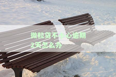 微粒贷逾期二天会有什么后果，有奖问答