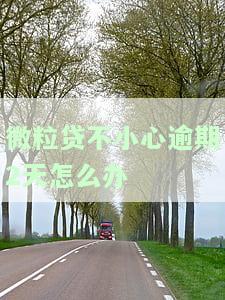 微粒贷逾期2天会怎样处理及后果