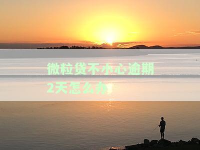 微粒贷逾期2天后还款是否能继续借款？