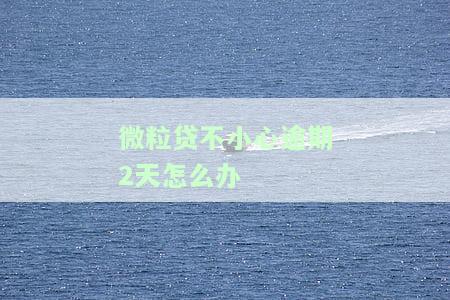 微粒贷不小心逾期2天怎么办