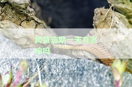 网贷逾期一天有影响吗会上征信吗及应对措