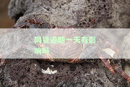 网贷逾期一天有影响吗没有收取违约金？如何处理？