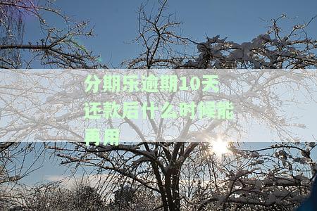 分期乐逾期十天后还款会不会影响使用及如何协商期还款