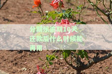 分期乐逾期十几天了,还了以后还能用吗？