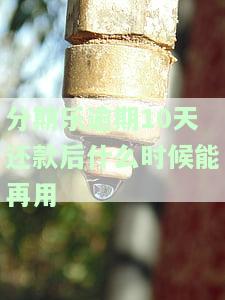 分期乐逾期十多天还了以后还能使用吗？