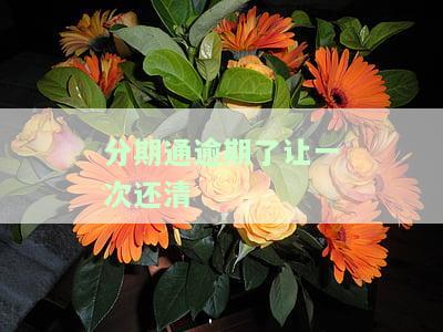 分期通逾期了让一次还清