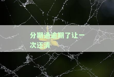 分期通逾期了让一次还清吗，安全吗？怎么办？每天增加多少钱？