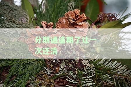 分期通逾期了每天增加多少钱，还款额度，征信记录及一次还清情况