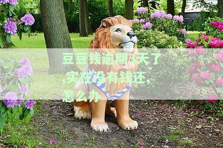 豆豆钱逾期3天了,实在没有钱还,怎么办