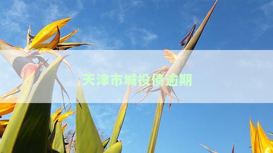 天津城投集团发债公告及评价