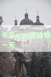 平安max借逾期一天