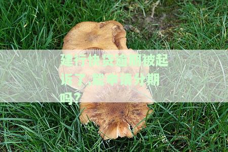 建行快贷逾期被起诉了,能申请分期吗?