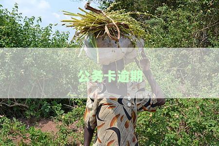 公务卡逾期利息怎么算出来的及还款利息