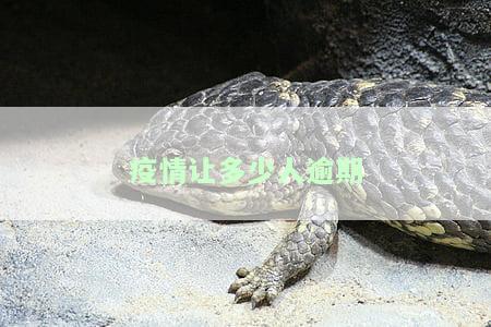 疫情让多少人逾期上门催收，2021年催收会上门吗？