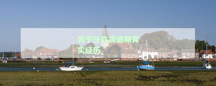 国家承认的十大正规网贷及逾期还款协商方法
