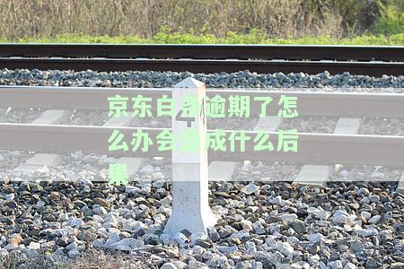 逾期还款会怎么样处理及后果？