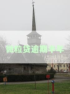 微粒贷逾期半年,4万如何处理及利息情况?