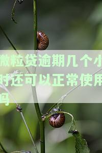 微粒贷逾期几个小时还可以正常使用吗安全可靠？