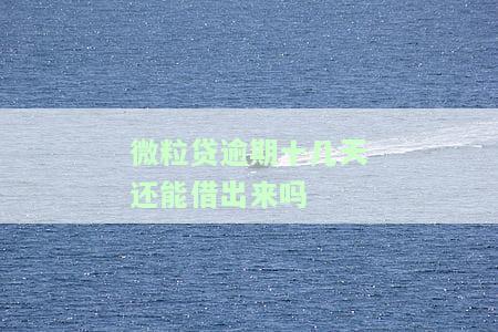 微粒贷逾期十几天还能借出来吗怎么还款，还了还可以再借吗