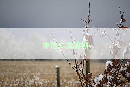 中信二次逾期怎么处理最快且最好