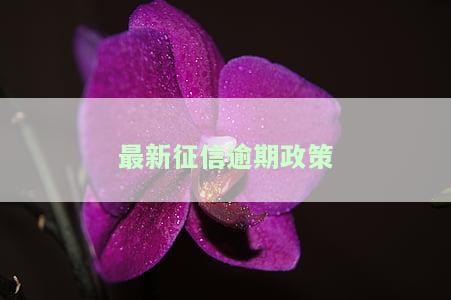 最新征信逾期政策2023年：查询与消除