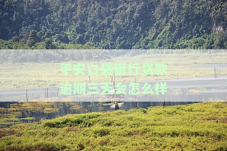 平安口袋银行贷款逾期三天会怎么样