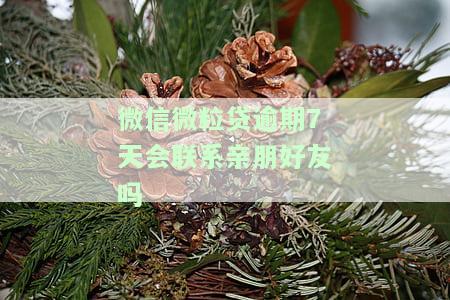 微信微粒贷逾期7天会联系亲朋好友吗