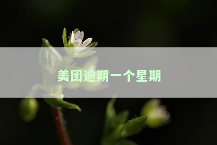 美团逾期一个星期会委托当地人联系吗？