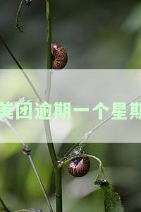 美团逾期一个星期
