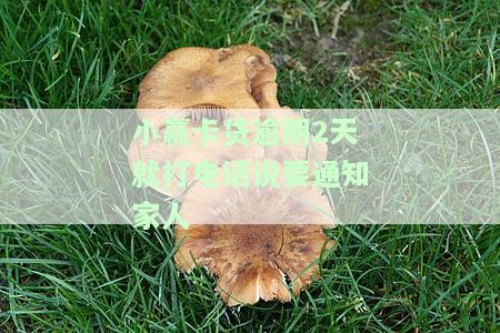 小赢卡贷逾期2天就打电话通知家人