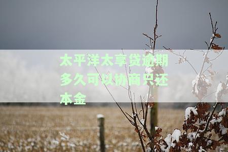 太平洋太享贷款还不上会报警吗？逾期后果及保险代偿情况，暴力催收是否违法？逾期多久可以协商还本金。