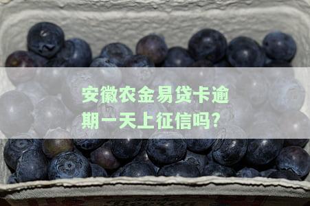 安徽农金易贷卡逾期一天上征信，有影响吗？