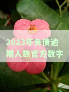 2021年负债的人数达到录
