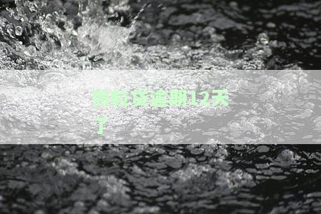 微粒贷逾期12天了今天发信是说1小时后我老公