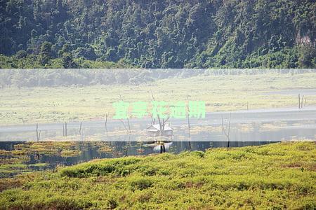 宜享花逾期起诉亲身经历，2023年停止催收网贷