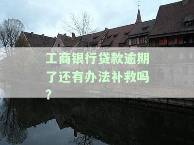 工商银行贷款逾期了还有办法补救吗?