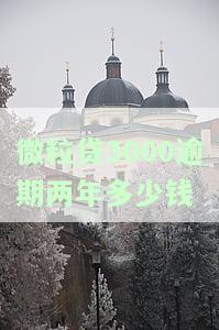 微粒贷3000逾期两年多少钱会起诉
