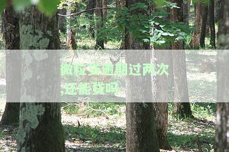 微粒贷逾期两次，还完一笔还能继续贷吗？安全吗？