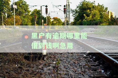 黑户有逾期哪里能借到钱啊急用论坛