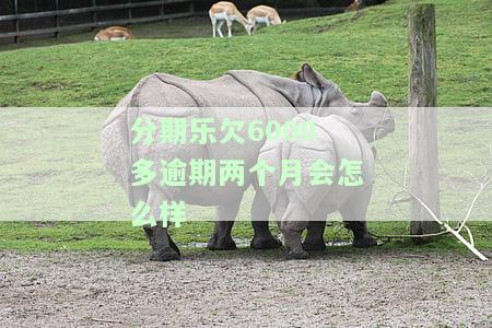 分期乐欠款6000多逾期两个月会怎么样，分期乐逾期2个月欠了5000会上诉吗，分期乐逾期两个月 欠4000，分期乐欠了2000逾期2个月会被起诉吗？