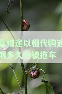 喜相逢以租代购能期还款吗