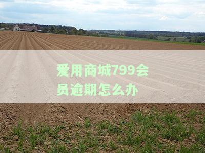 爱用商城79会员下款了：全新合成标题
