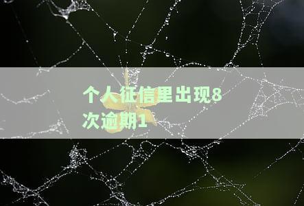 个人征信里出现8次逾期1
