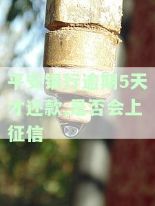平安银行逾期5天才还款,是否会上征信
