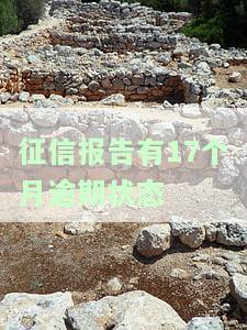 征信报告有17个月逾期状态